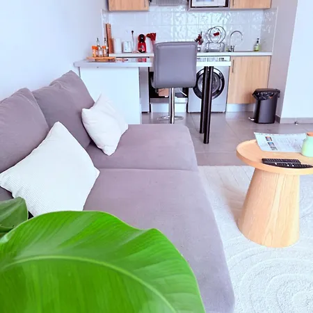 Apartment L'occitan T2 A 10 Minutes Du Coeur De Parking Prive Et Metro